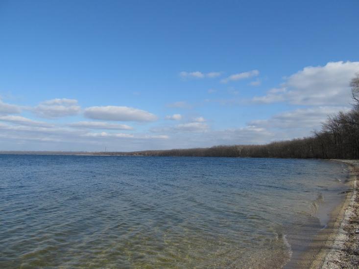 Зелений Гай з panoramio.com - Зеленый Гай