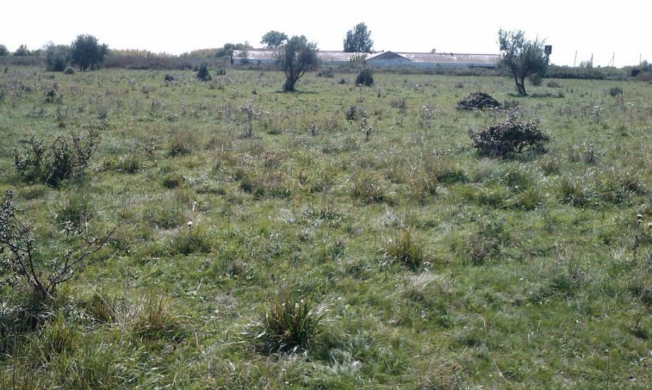 Софіївка з panoramio.com - Софиевка
