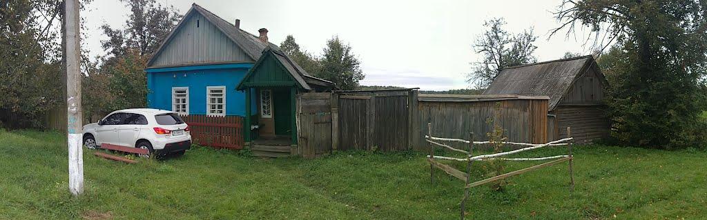 Поліське з panoramio.com - Поліське