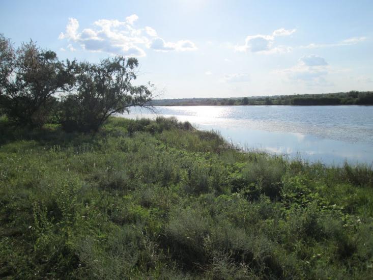 Єлизаветівка з panoramio.com - Єлизаветівка