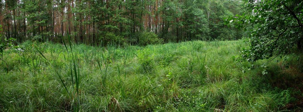 Клавдієво-Тарасове з panoramio.com - Клавдієво-Тарасове