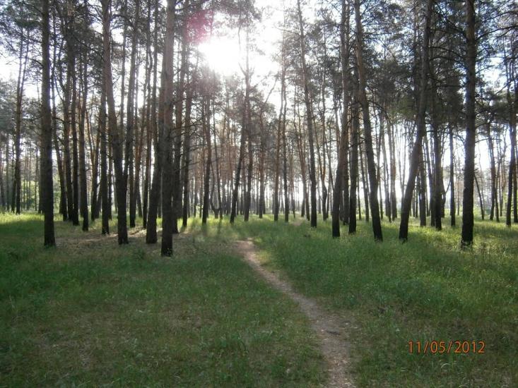Новоайдар з panoramio.com - Новоайдар