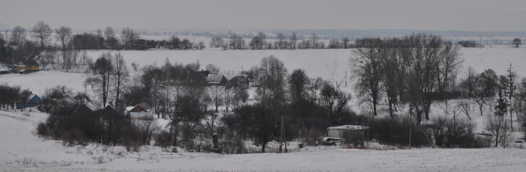 Заріцьк з panoramio.com - Зарецк
