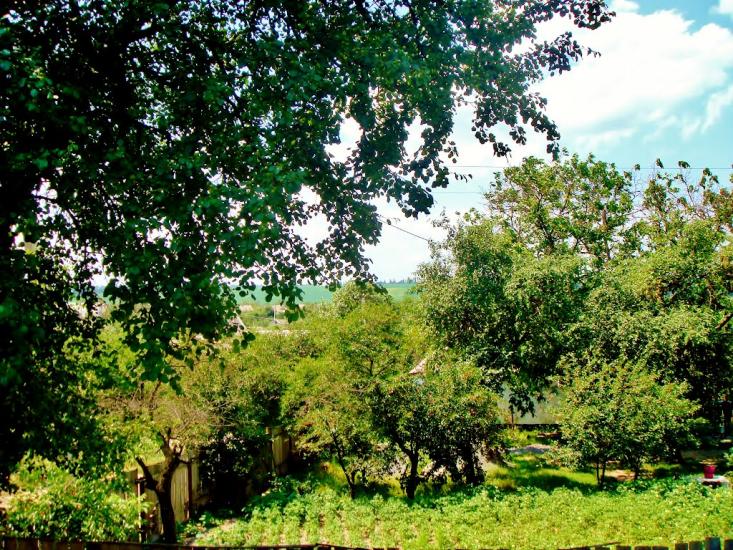 Неморож з panoramio.com - Неморож