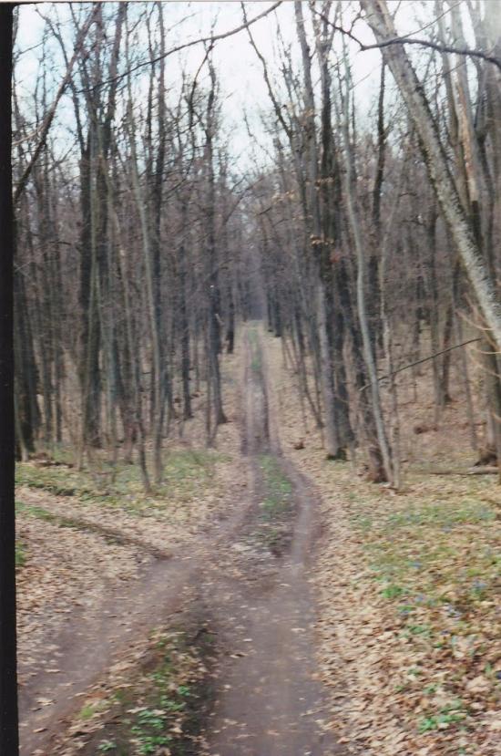 Малі Проходи з panoramio.com - Малі Проходи