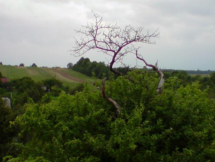 Нижня Вовча з panoramio.com - Нижня Вовча