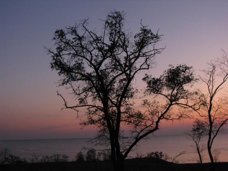 Солончаки з panoramio.com - Solonchaky