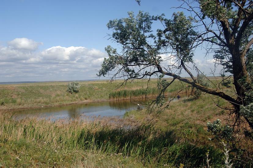 Лиманське з panoramio.com - Лиманское