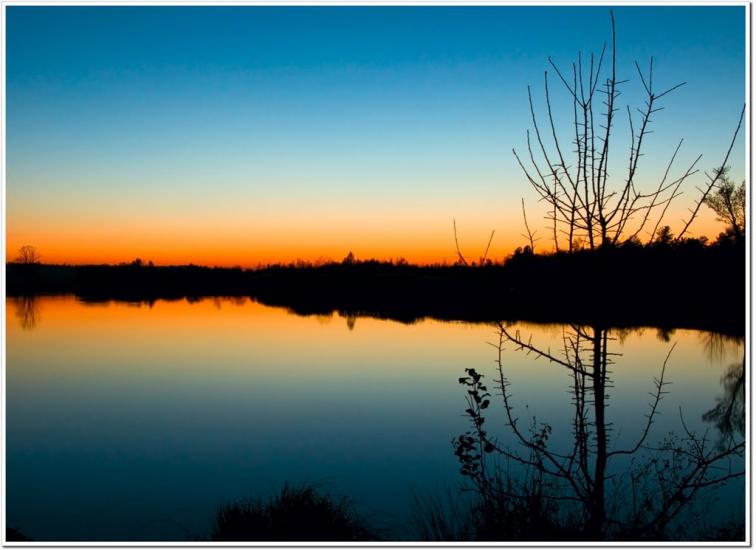 Тепениця з panoramio.com - Tepenytsya