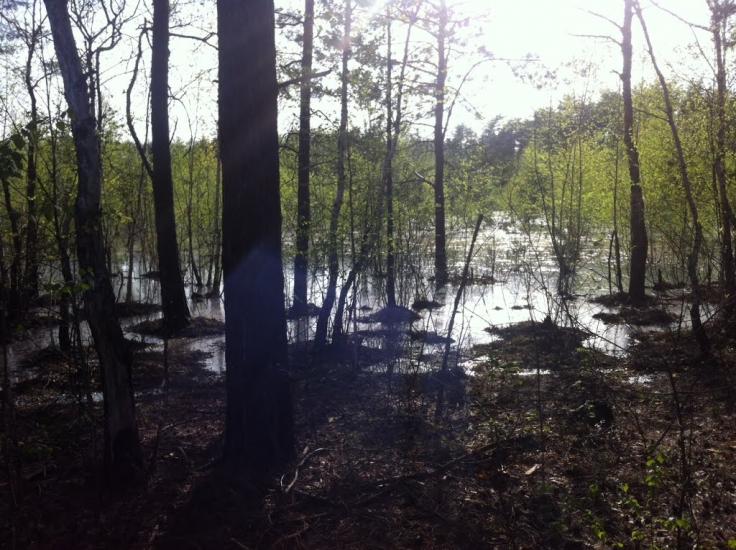 Бабинці з panoramio.com - Бабинці