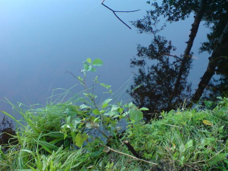 Невір з panoramio.com - Nevir