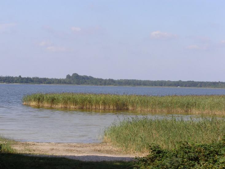 Згорани з panoramio.com - Zgorany