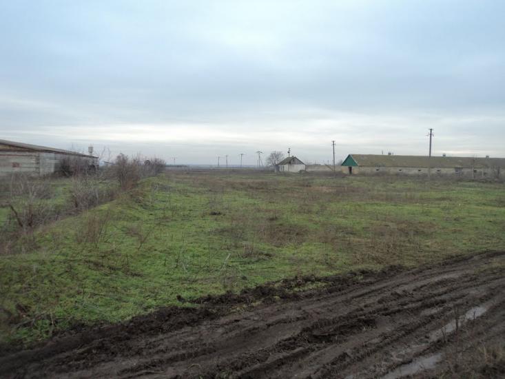 Дачне з panoramio.com - Дачне