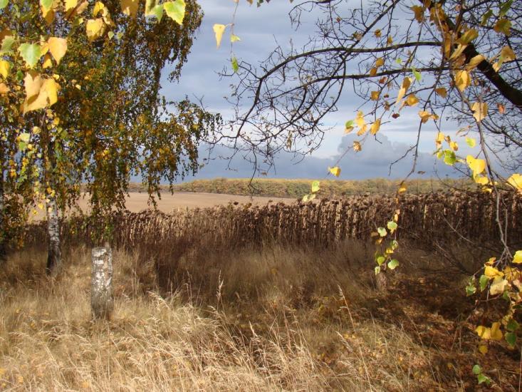 Дергачі з panoramio.com - Дергачи