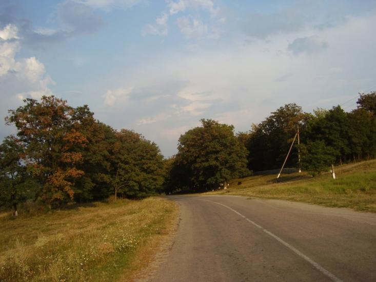 Вільховець з panoramio.com - Вільховець