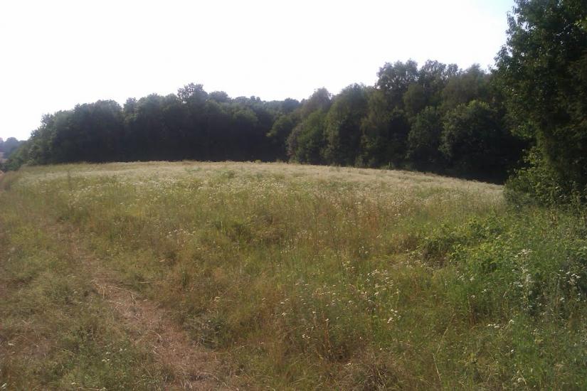 Заріцьк з panoramio.com - Zaritsk