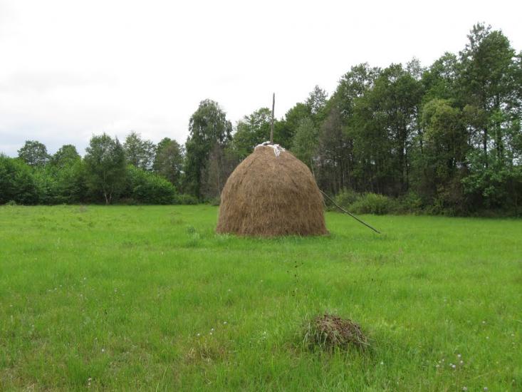 Мельники з panoramio.com - Мельники