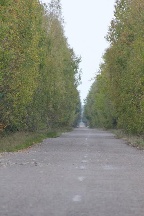 Малий Дивлин з panoramio.com - Малый Дивлин