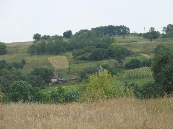 Велика Шапківка з panoramio.com - Великая Шапковка