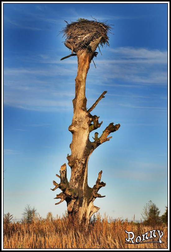 Артинськ з panoramio.com - Артинск