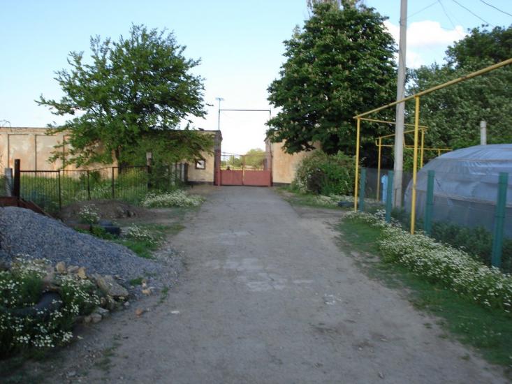 Іллічівка з panoramio.com - Іллічівка