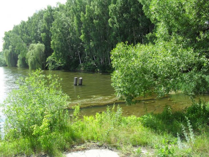 Печини з panoramio.com - Pechyny