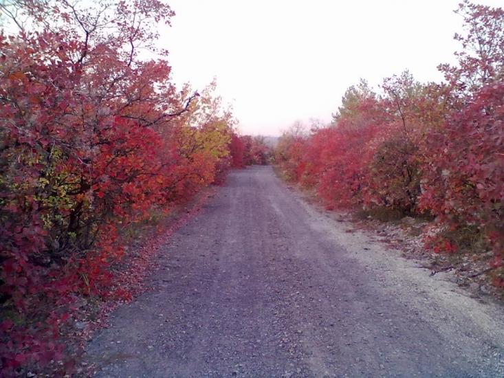 Пискунівка з panoramio.com - Пискуновка