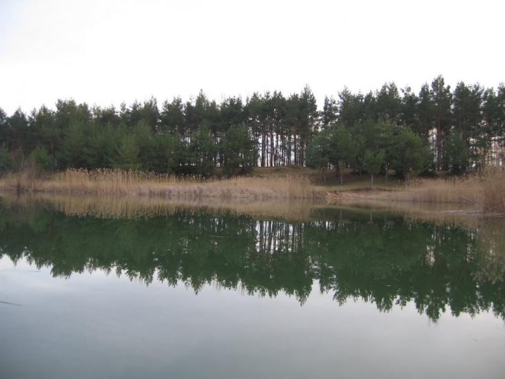 Солгутове з panoramio.com - Солгутово