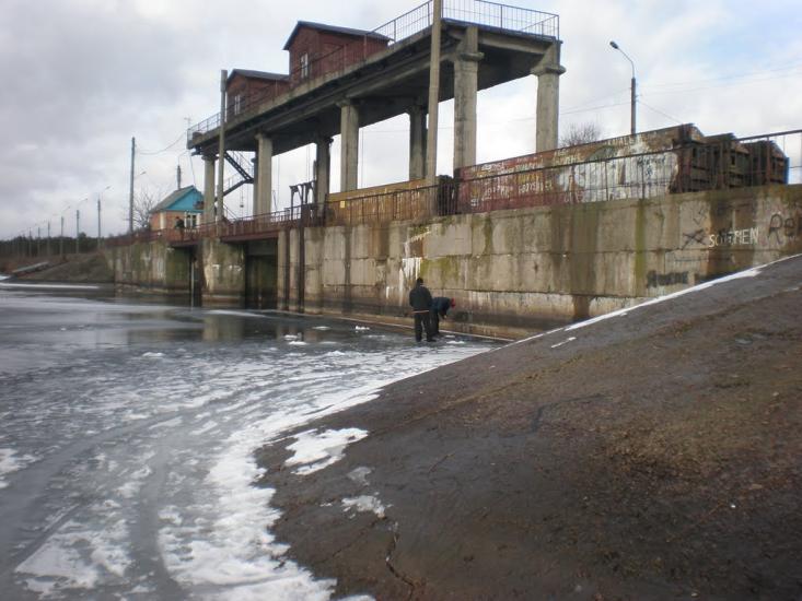 Нова Борова з panoramio.com - Нова Борова