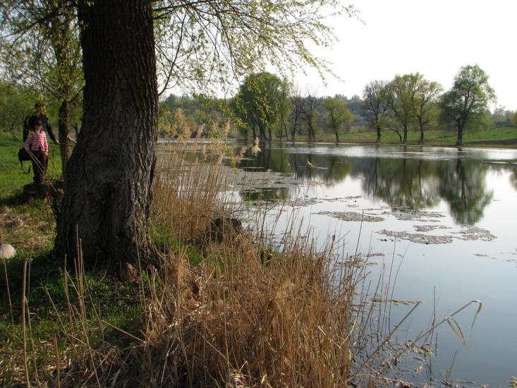 Тростинка з panoramio.com - Тростинка