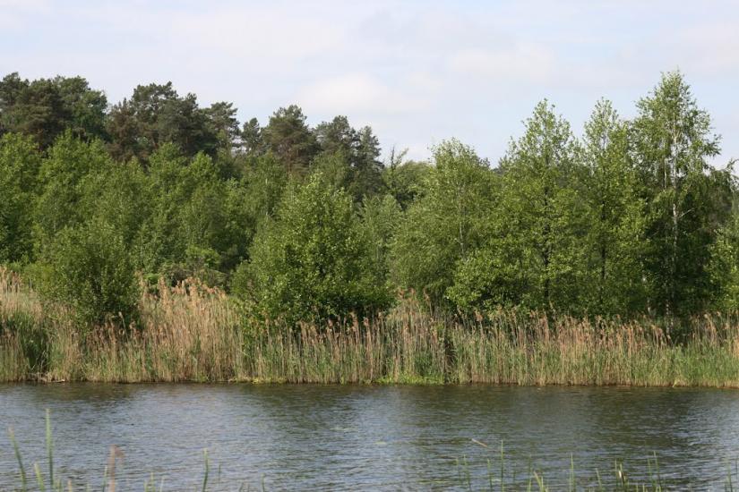 Щербатівка з panoramio.com - Щербатівка