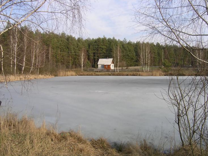 Малин з panoramio.com - Малин