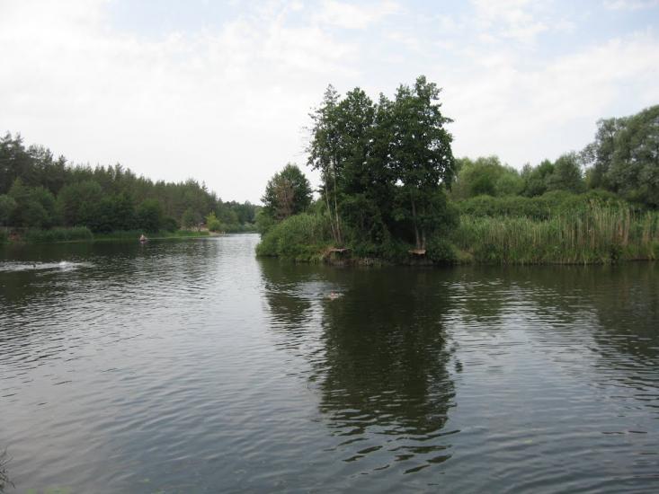 Вільхуватка з panoramio.com - Вільхуватка