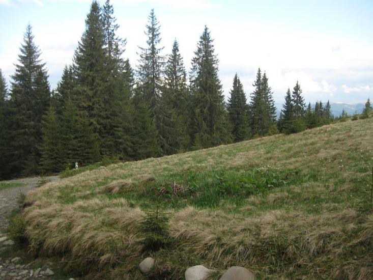 Буркут з panoramio.com - Буркут
