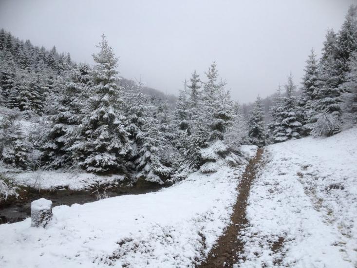 Либохора з panoramio.com - Либохора