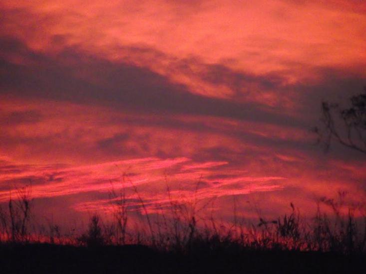 Георгіївка з panoramio.com - Георгіївка