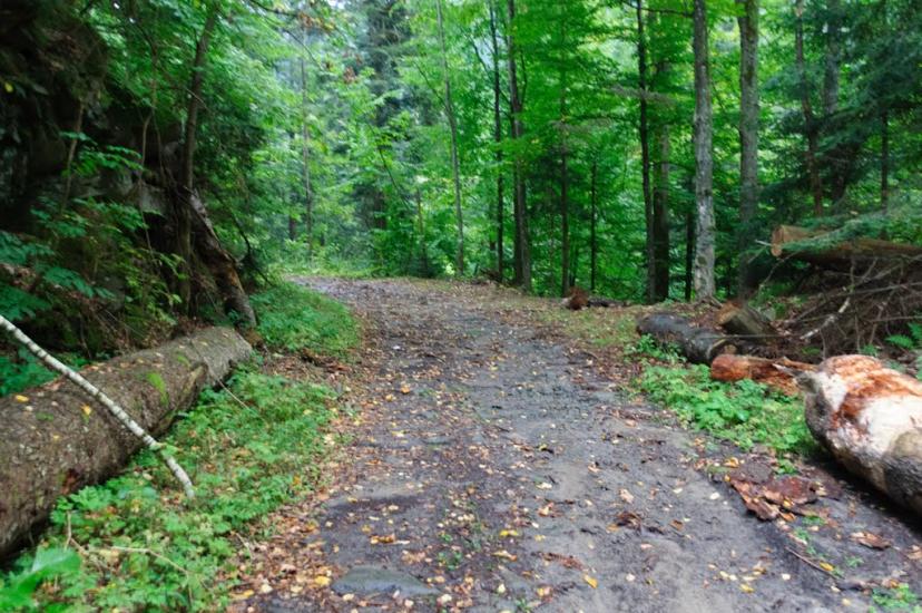 Буківцьово з panoramio.com - Буковцево