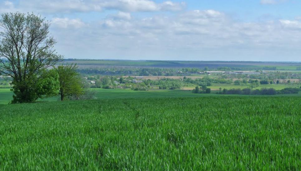Дмитрівка з panoramio.com - Дмитрівка