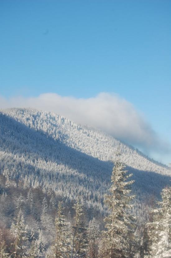 Мислівка з panoramio.com - Мислівка
