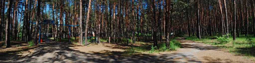 Норцівка з panoramio.com - Норцівка