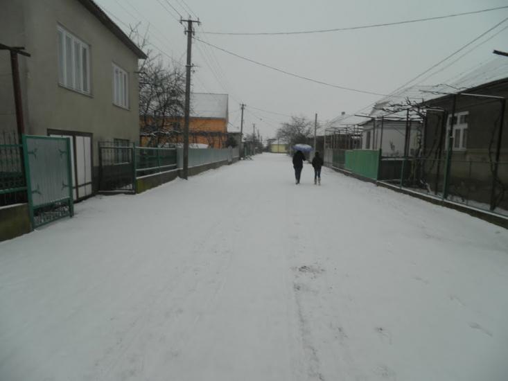 Нове Давидково з panoramio.com - Нове Давидково