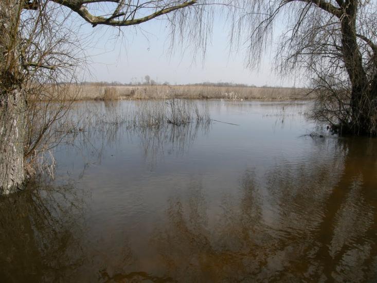 Оржиця з panoramio.com - Orzhytsya