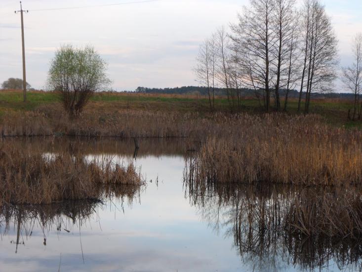 Дешки з panoramio.com - Дешки