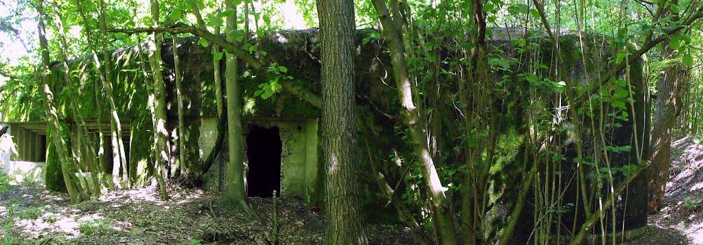 Велика Любаша з panoramio.com - Велика Любаша