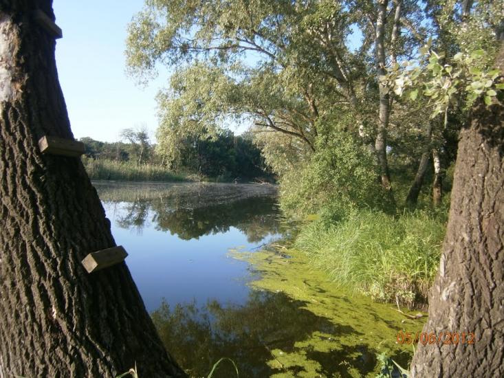 Айдар-Миколаївка з panoramio.com - Айдар-Николаевка