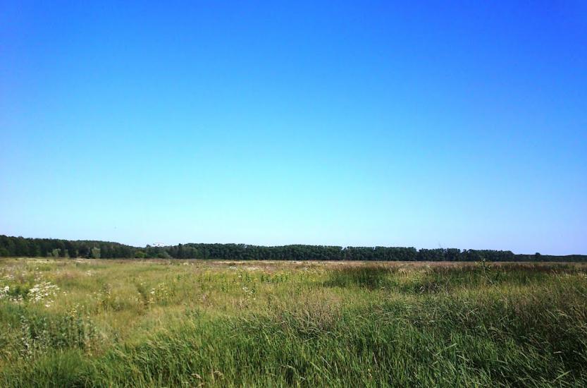 Гора з panoramio.com - Гора