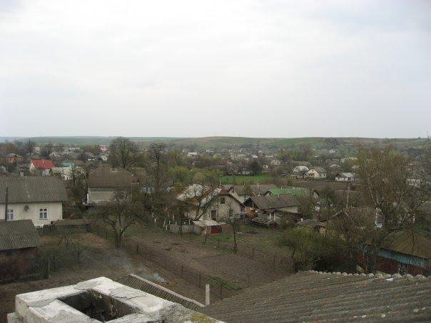 Більшівці з panoramio.com - Большовцы