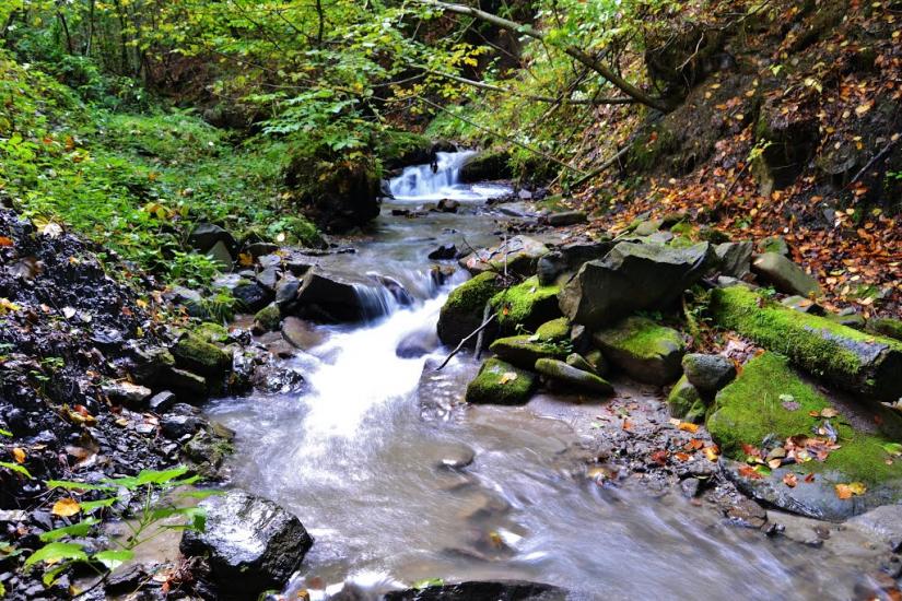 Росішка з panoramio.com - Rosishka