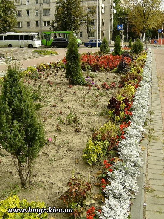 Вишневе з panoramio.com - Вишневое