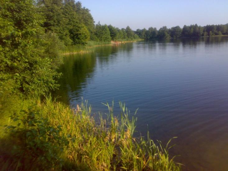 Лісники з panoramio.com - Лесники